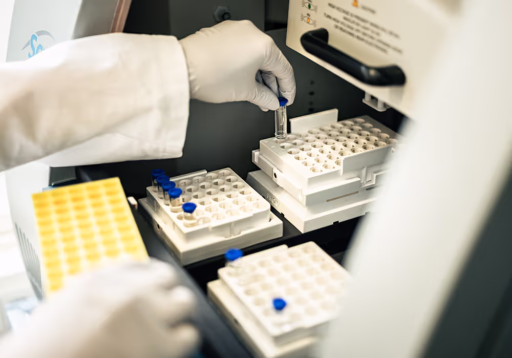 Minicircle DNA production process