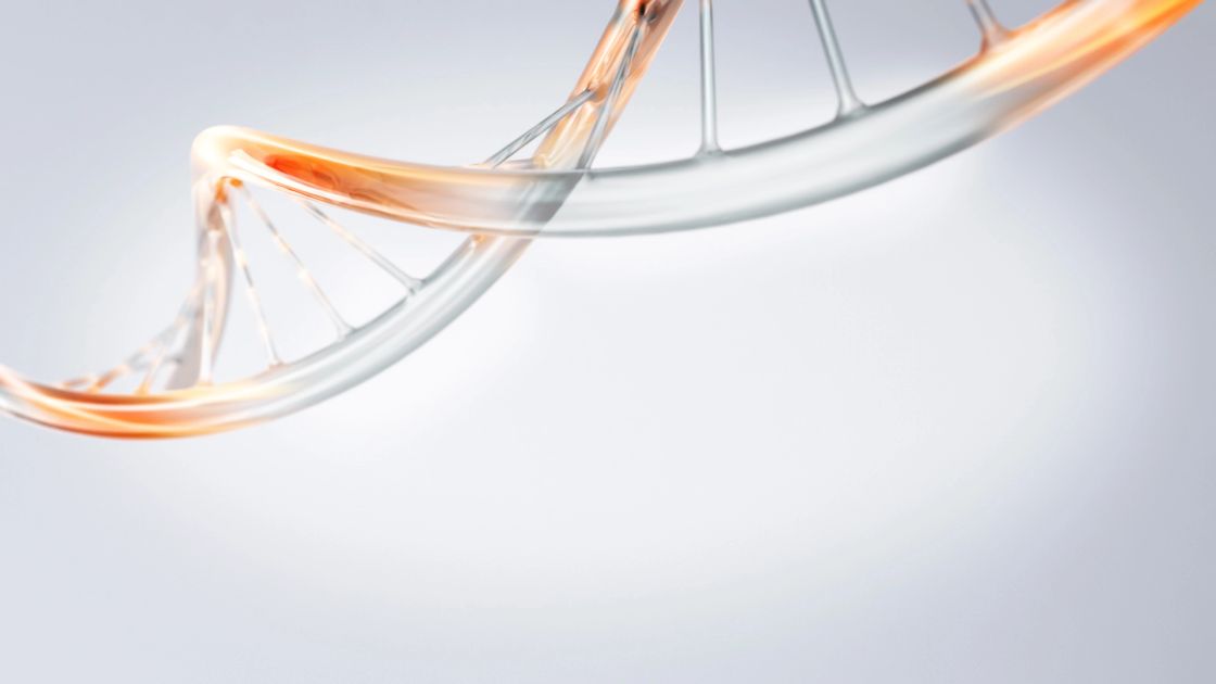 Plasmids/Minicircles for AAV production – PlasmidFactory GmbH