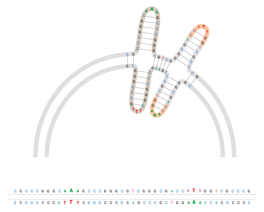 aav-plasmids ITRRESCUE® technology