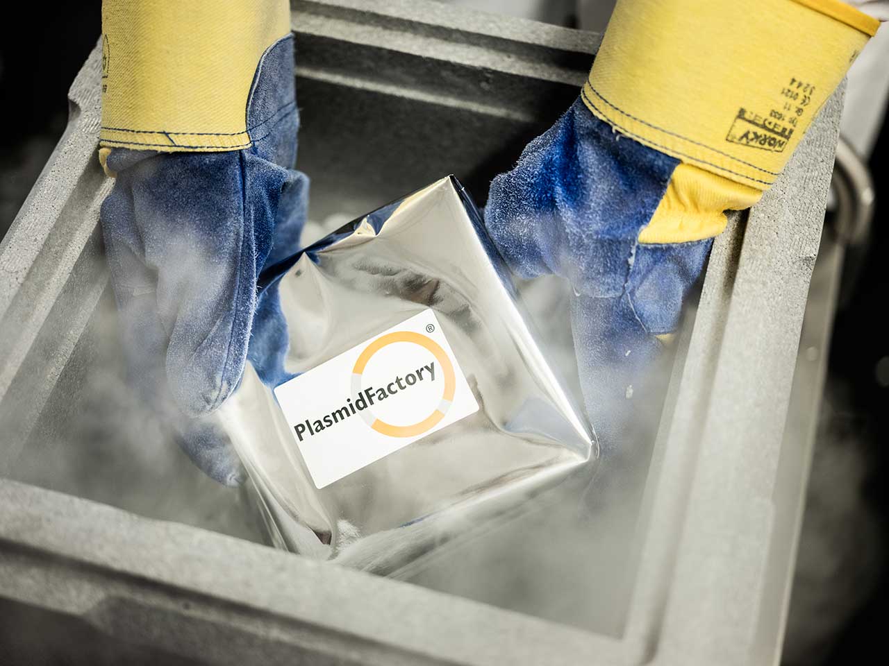 in-stock-dna Packaging the plasmids on dry ice for shipping