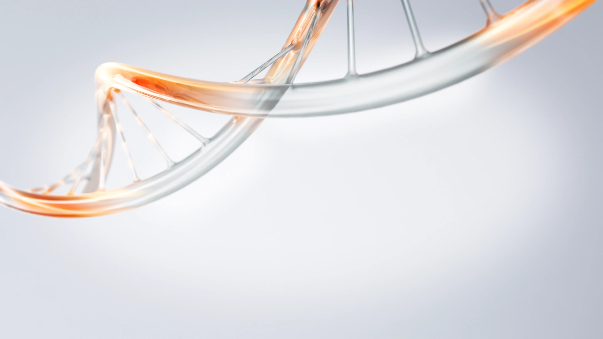 resources Plasmid DNA helix schematic