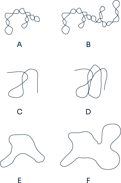 cge-2 CGE