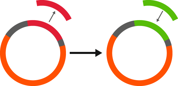 cloning-services Cloning Service PlasmidFactory