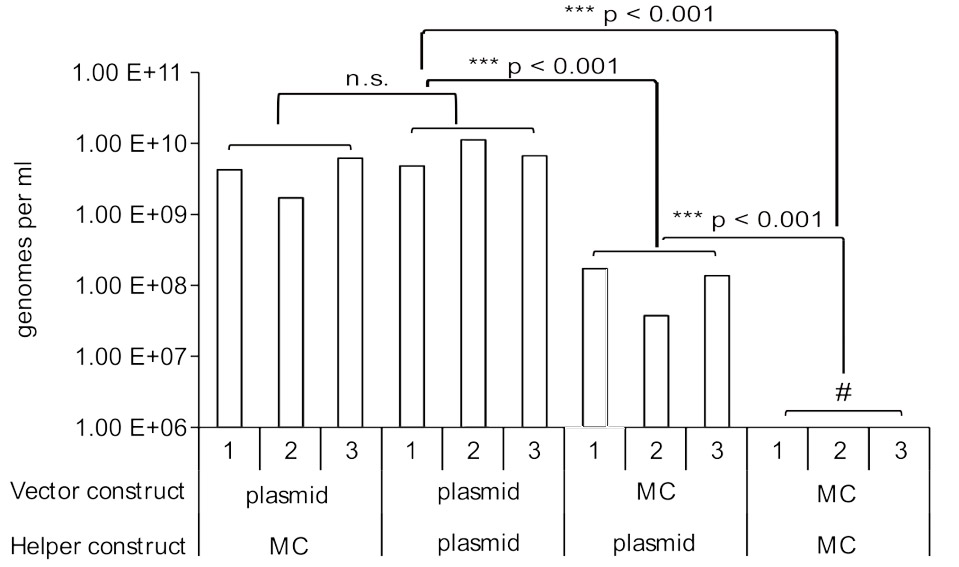 data-highlights7 Plasmid Minicircle Data Highlight