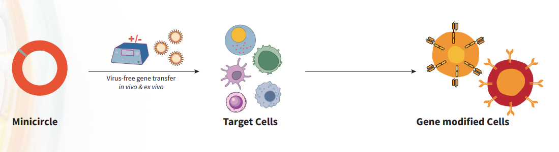 next generation virus free gene modification